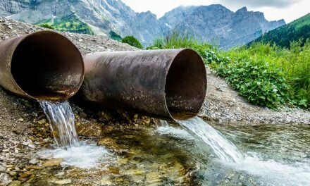 Os Funerais Líquidos do Sr. arcebispo